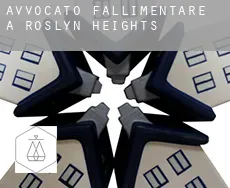 Avvocato fallimentare a Roslyn Heights