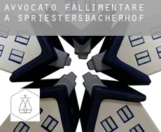 Avvocato fallimentare a  Spriestersbacherhof