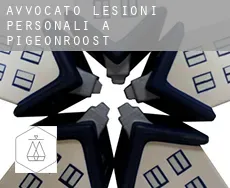 Avvocato lesioni personali a Pigeonroost
