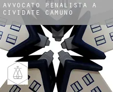 Avvocato penalista a Cividate Camuno