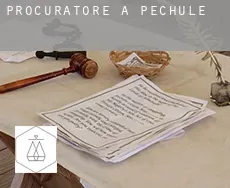 Procuratore a  Pechüle