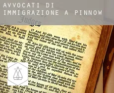 Avvocati di immigrazione a  Pinnow