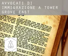Avvocati di immigrazione a Tower Grove East