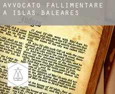 Avvocato fallimentare a  Illes Balears