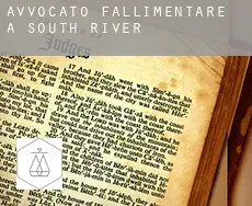 Avvocato fallimentare a  South River