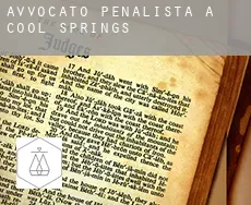 Avvocato penalista a  Cool Springs
