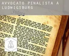 Avvocato penalista a  Ludwigsburg