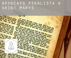 Avvocato penalista a Saint Marys