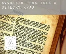 Avvocato penalista a  Ústecký Kraj