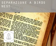 Separazione a Birds Nest