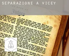 Separazione a Vicey
