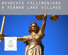 Avvocato fallimentare a Fernan Lake Village