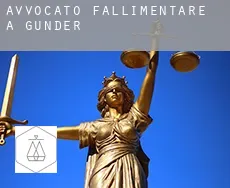 Avvocato fallimentare a Gunder