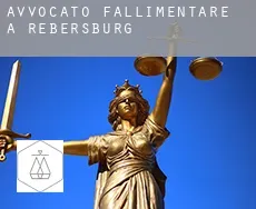 Avvocato fallimentare a  Rebersburg