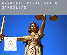 Avvocato penalista a Garoolgan