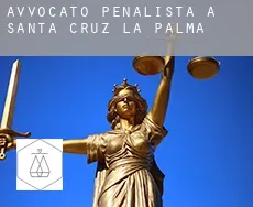 Avvocato penalista a  Santa Cruz de la Palma