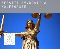 Sfratti avvocati a Wolfsgasse