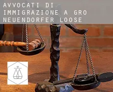 Avvocati di immigrazione a  Groß Neuendorfer Loose