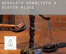 Avvocato penalista a Scotch Ridge