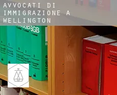 Avvocati di immigrazione a Wellington