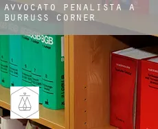 Avvocato penalista a  Burruss Corner