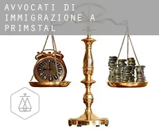 Avvocati di immigrazione a  Primstal