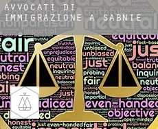 Avvocati di immigrazione a Sabnie