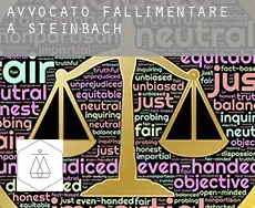 Avvocato fallimentare a  Steinbach