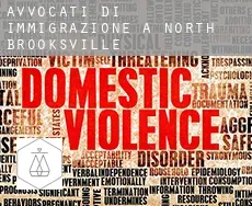 Avvocati di immigrazione a North Brooksville