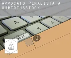 Avvocato penalista a  Hubertusstock