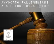 Avvocato fallimentare a  Siedlung Horstfelde