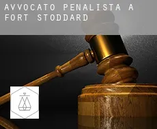 Avvocato penalista a  Fort Stoddard