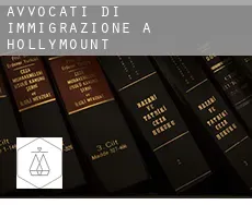 Avvocati di immigrazione a Hollymount