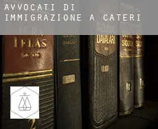 Avvocati di immigrazione a Cateri