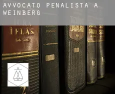 Avvocato penalista a  Weinberg