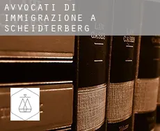 Avvocati di immigrazione a  Scheidterberg