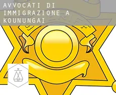 Avvocati di immigrazione a Kounungai