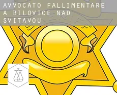 Avvocato fallimentare a Bílovice nad Svitavou