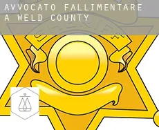 Avvocato fallimentare a  Weld County