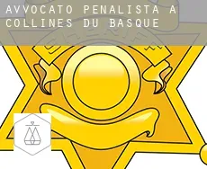 Avvocato penalista a  Collines-du-Basque