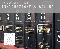 Avvocati di immigrazione a  Wollup