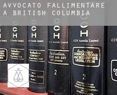 Avvocato fallimentare a  British Columbia