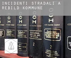 Incidenti stradali a  Rebild Kommune