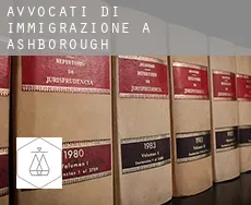 Avvocati di immigrazione a Ashborough