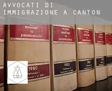 Avvocati di immigrazione a Canton