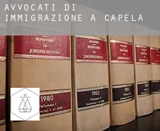 Avvocati di immigrazione a Capela