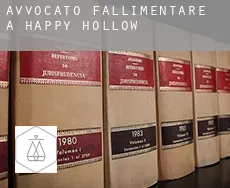 Avvocato fallimentare a Happy Hollow