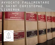 Avvocato fallimentare a Saint-Christophe-du-Ligneron