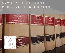 Avvocato lesioni personali a  Horton