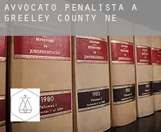 Avvocato penalista a Greeley County